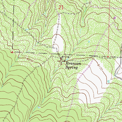 Topographic Map of Branson Spring, CO