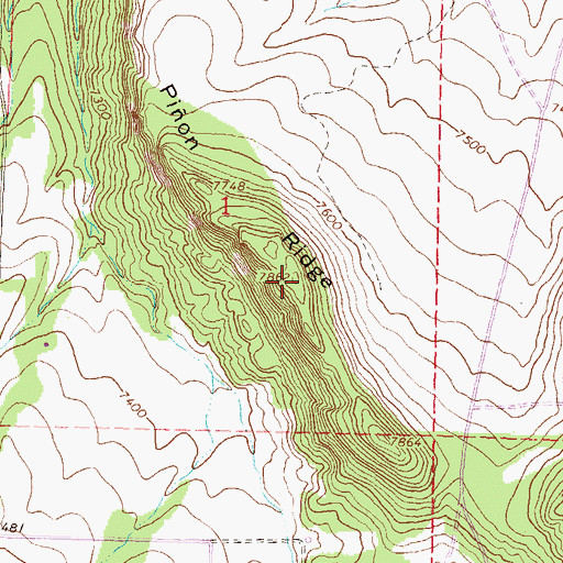 Topographic Map of Pinion Ridge, CO