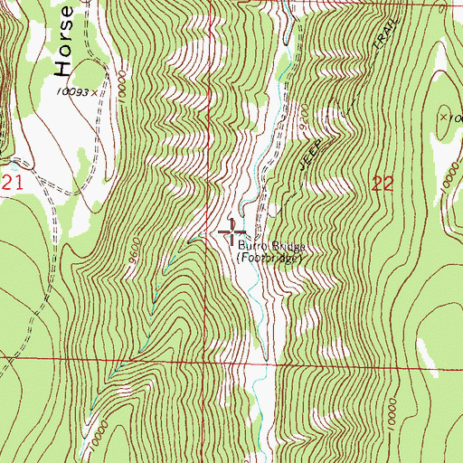 Topographic Map of Burro Bridge, CO