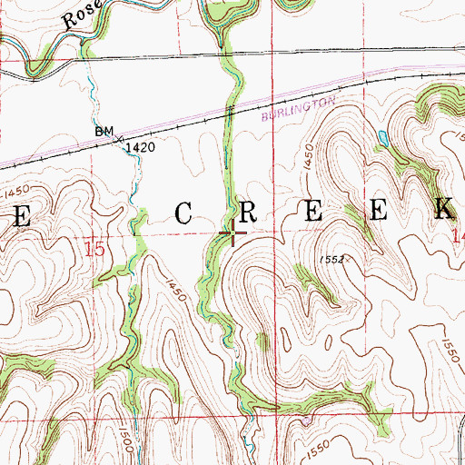 Topographic Map of Township of Rose Creek, NE