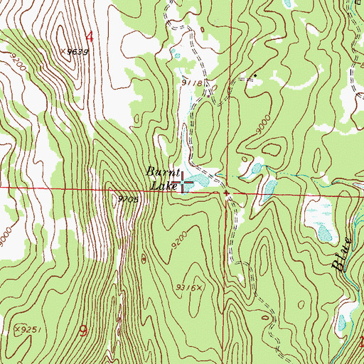 Topographic Map of Burnt Lake, CO