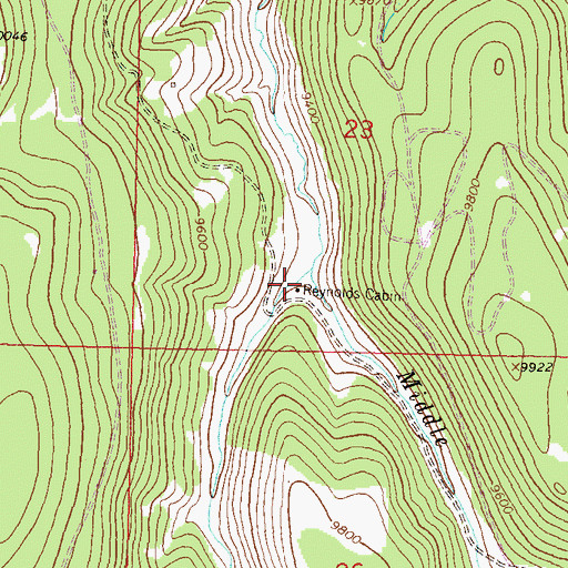 Topographic Map of Reynolds Cabin, CO