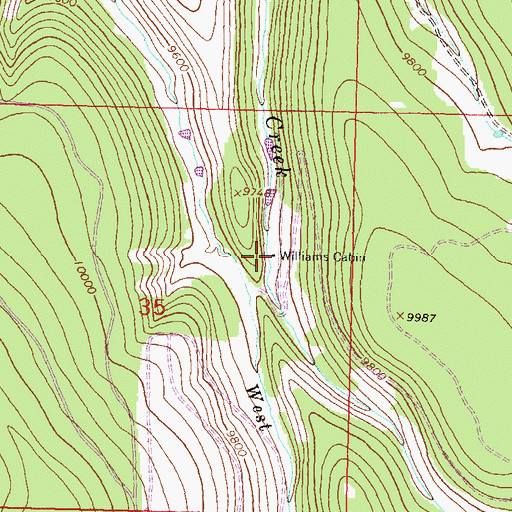 Topographic Map of Williams Cabin, CO