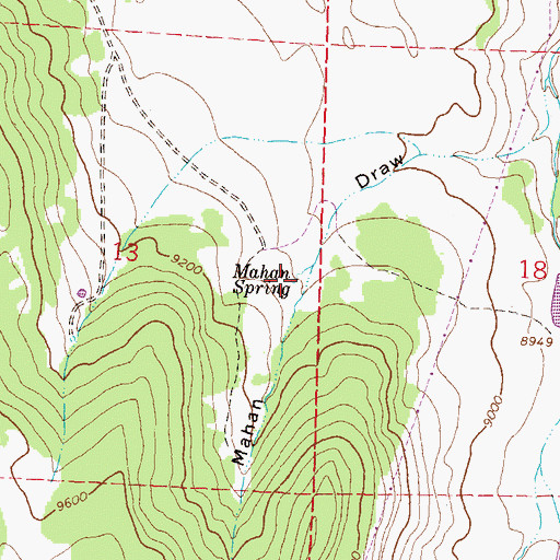 Topographic Map of Mahan Spring, CO