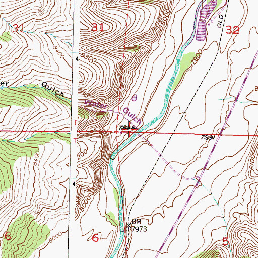 Topographic Map of Water Gulch, CO