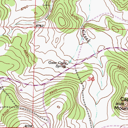 Topographic Map of Goose Creek Spring, CO