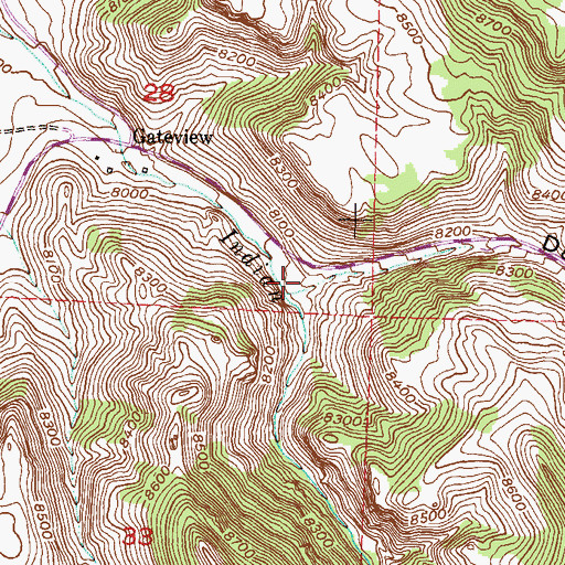 Topographic Map of Dutch Gulch, CO