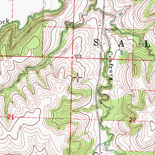 Topographic Map of Township of Salem, NE