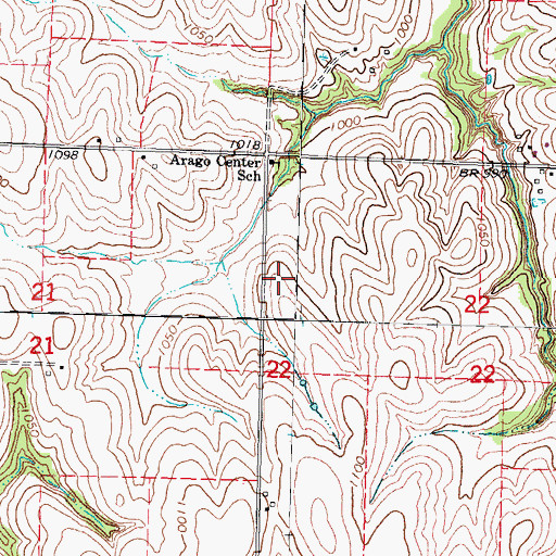 Topographic Map of Township of Arago, NE