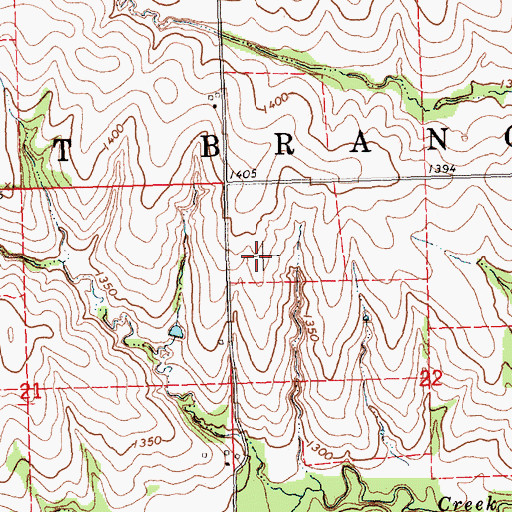 Topographic Map of Township of West Branch, NE