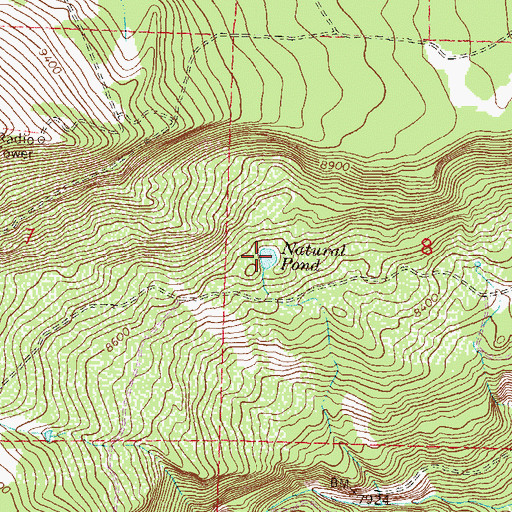 Topographic Map of Natural Pond, CO