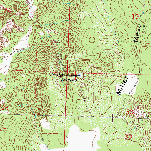 Topographic Map of Montgomery Spring, CO