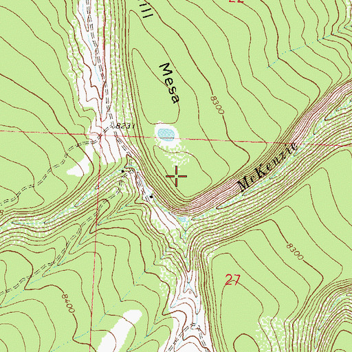 Topographic Map of Burnt Mill Mesa, CO