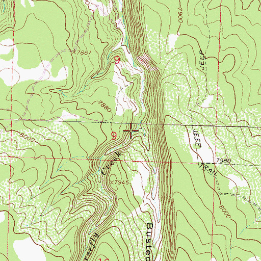 Topographic Map of Busted Boiler Draw, CO