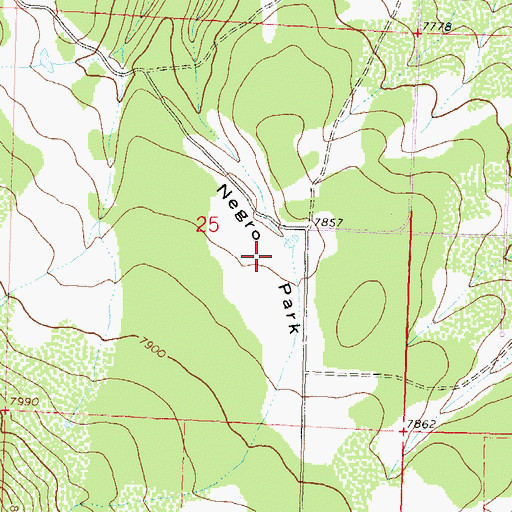 Topographic Map of Negro Park, CO