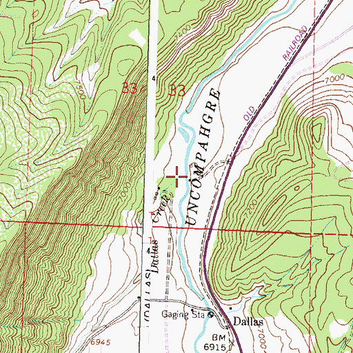 Topographic Map of Dallas Creek, CO