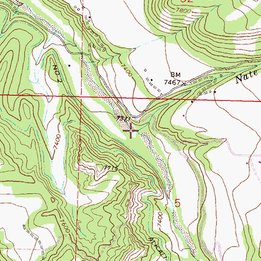 Topographic Map of Nate Creek, CO