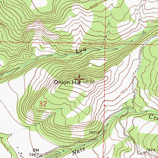Topographic Map of Onion Hill, CO