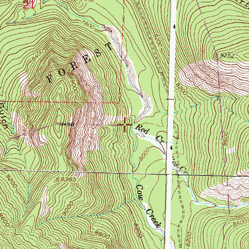 Topographic Map of Red Creek, CO