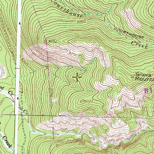 Topographic Map of Sneva Mountain, CO