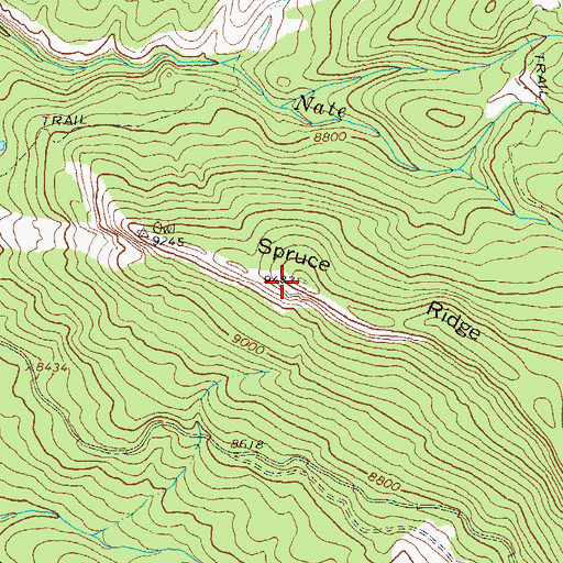 Topographic Map of Spruce Ridge, CO