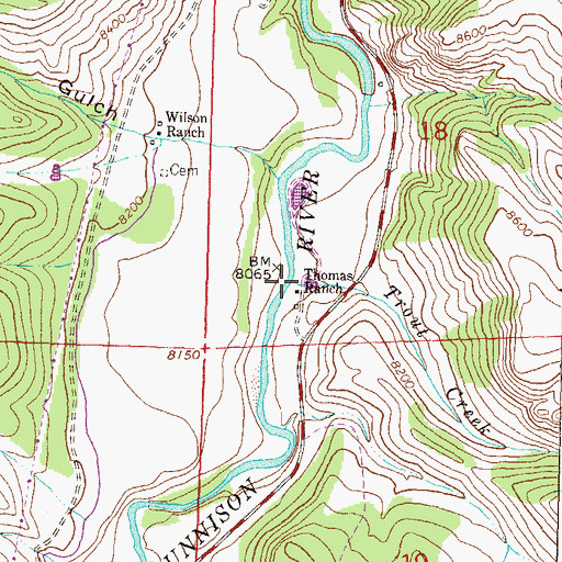 Topographic Map of Trout Creek, CO
