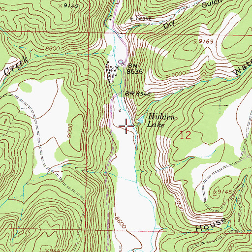 Topographic Map of Water Gulch, CO