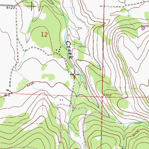 Topographic Map of East Fork Leopard Creek, CO