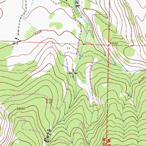 Topographic Map of Middle Fork Leopard Creek, CO