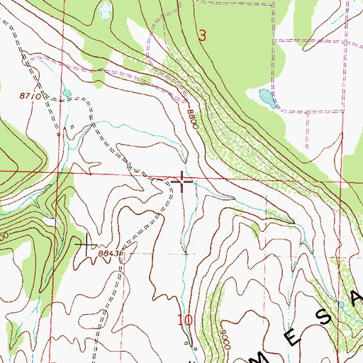 Topographic Map of Willow Creek, CO