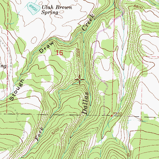 Topographic Map of West Fork West Dallas Creek, CO