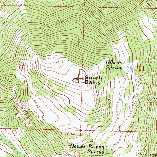 Topographic Map of South Baldy, CO