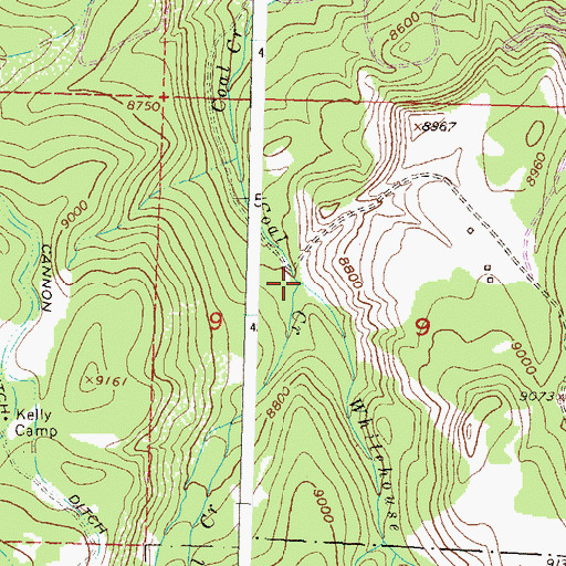 Topographic Map of Whitehouse Creek, CO