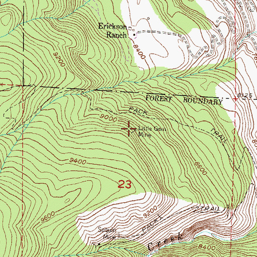 Topographic Map of Little Gem Mine, CO