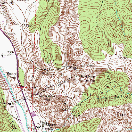 Topographic Map of American Nettie Mine, CO