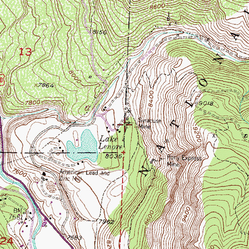 Topographic Map of Syracuse Mine, CO
