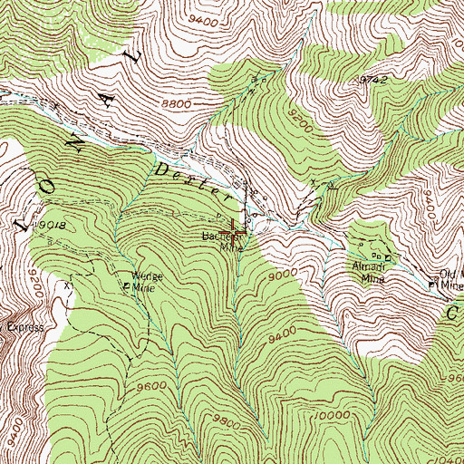Topographic Map of Bachelor Mine, CO