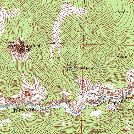 Topographic Map of Pelican Mine, CO