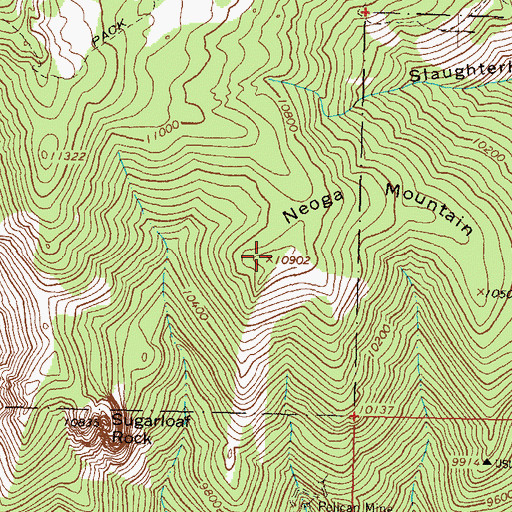 Topographic Map of Neoga Mountain, CO