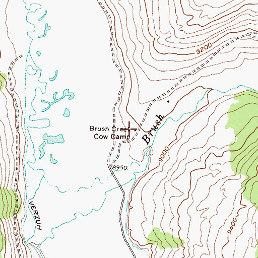 Topographic Map of Brush Creek Cow Camp, CO