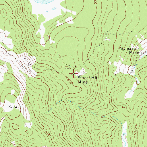 Topographic Map of Forest Hill Mine, CO