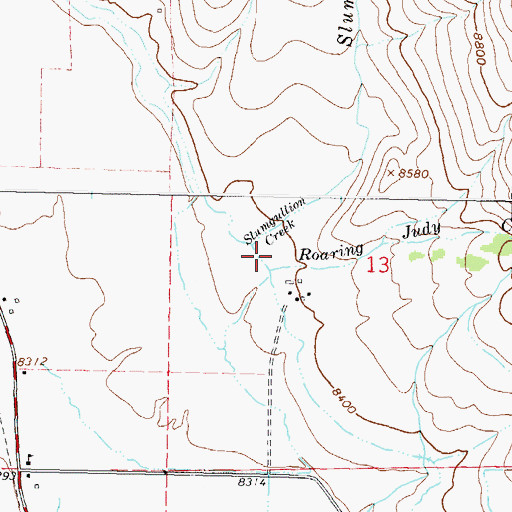 Topographic Map of Roaring Judy Creek, CO