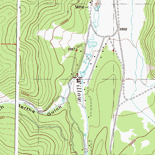 Topographic Map of Bertha Gulch, CO