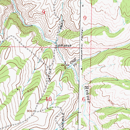 Topographic Map of Cliff Creek, CO