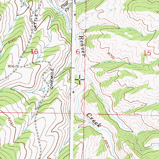 Topographic Map of East Beaver Creek, CO