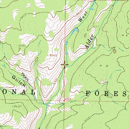 Topographic Map of West Fork Alder Creek, CO