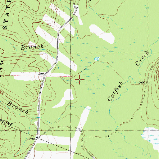 Topographic Map of Crawford Branch, TX