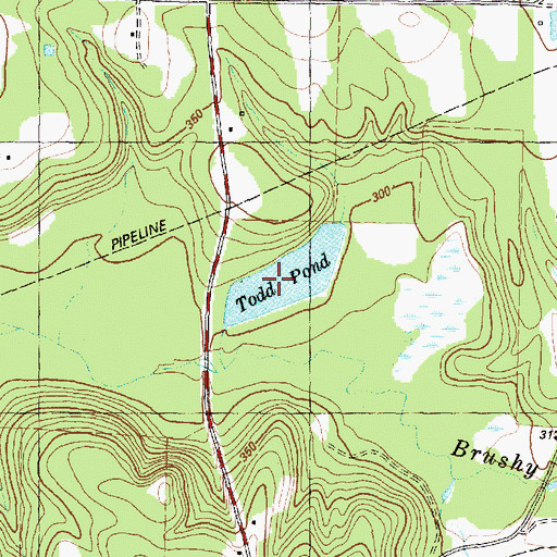 Topographic Map of Todd Pond, TX
