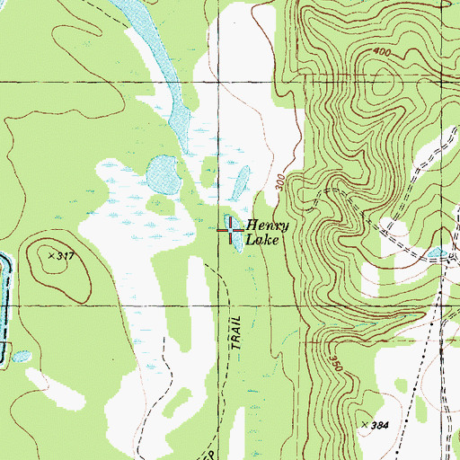 Topographic Map of Henry Lake, TX