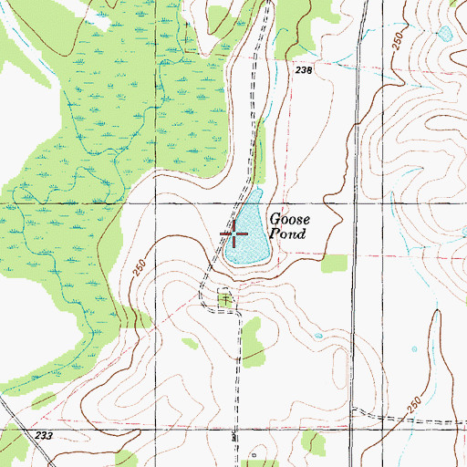 Topographic Map of Goose Pond, TX